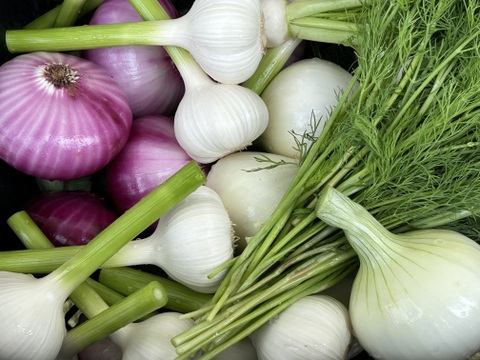 SALE！Sサイズ [信州産] 春野菜の玉手箱