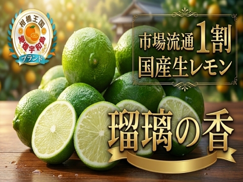 【市場流通わずか1割】緑の宝石とも呼ばれる次世代を担う国産生レモン『璃の香』お試しキャンペーン約1㎏【9月中旬予約】