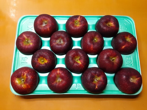シャキッとした食感のリンゴ！秋映５kg箱　ご家庭用