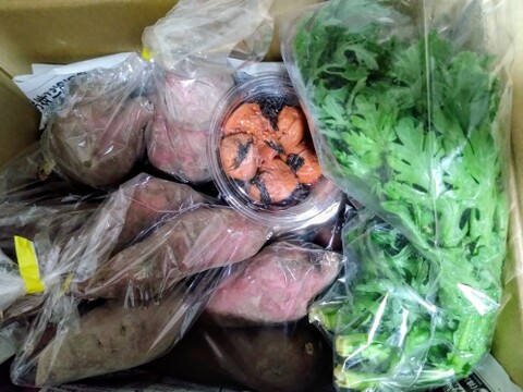 『シルクスイート』５kg 【農薬・化学肥料不使用】