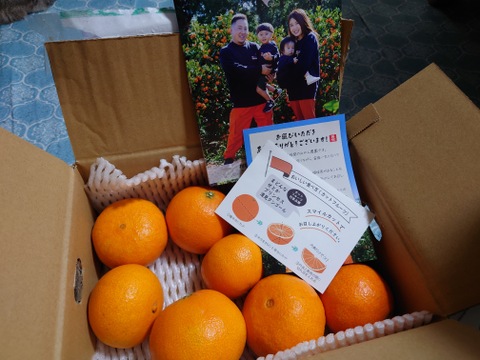 まどんな（ご家庭用・２㎏）+夕やけみかん×２箱（ご家庭用・２㎏）