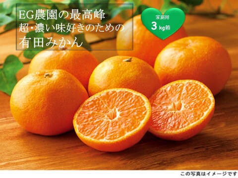 【再販未定】【濃い味の到達点】EG農園の最高峰！超濃い味好きのための有田みかん 3キロ箱 和歌山県 有田 みかん 2S~2Lサイズ　家庭用キズあり