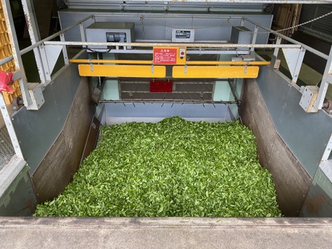 【農家直送】『ほうじ茶』240g（80g×3袋）静岡沼津産 豊かな香り