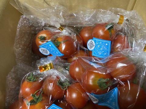 【新春SALE】ジューシー！！　フルティカトマト290g×4袋