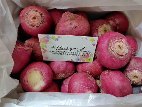 【農薬・化学肥料不使用】MOA自然農法で育った赤かぶ　2kg