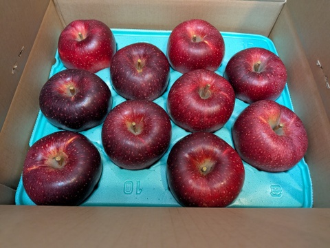 【シナノホッペ5ｋｇ　限定２０箱】サンふじの血を引く信州オリジナル新品種。②潤沢な蜜入りに期待！
シナノほっぺ