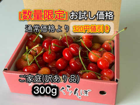 【数量限定お試し価格】さくらんぼご家庭用(訳あり品)300g