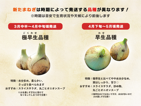 【訳あり品】淡路島産新たまねぎ 10kg 兵庫県認証食品
