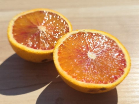 箱込約2㌔　ブラッドオレンジタロッコ　大きさ不ぞろい