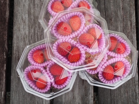 『国産生ライチ』小粒　７個（１パック）