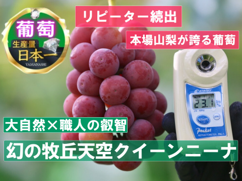 🍇シャインマスカットを超える圧倒的人気🍇幻の牧丘天空クイーンニーナわずか0.2%しか収穫されない超希少品種『2024年11月上旬発送』お試し約1kg2～4房🍇秋ギフト🍇