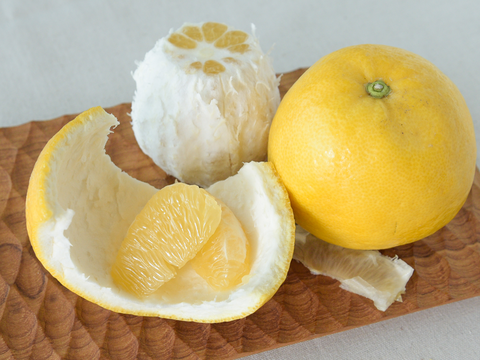 爽やかな甘みと香り　河内晩柑【家庭用(訳あり)】[5kg]　330-3