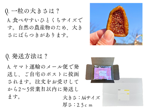 〈メール便〉静岡産 無添加・蜜しっとり国産ドライいちじく20ｇ×3パック　砂糖不使用　静岡県牧之原産　国産　セミドライ　お試しサイズ　小分けタイプ
