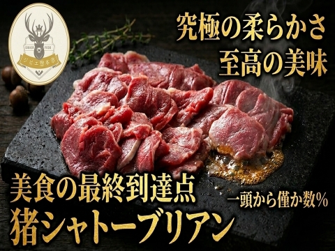 【貴族が独占する頂点】一頭から僅か数％“極上猪シャトーブリアン”🍖別格の超希少肉約100g