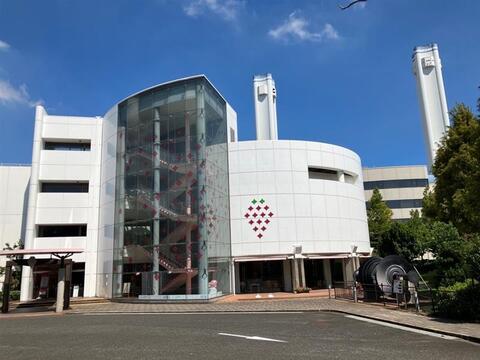 芳醇な香り！贅沢な味わいのドライイチゴ（20g×2パック）