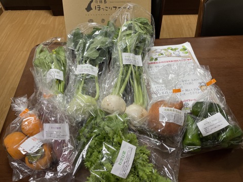 すぐに出荷対応【淡路島より旬をお届け】お任せ野菜セットSサイズ