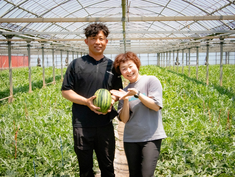 【父の日ギフト】種ごと食べれる！アレンジもしやすいスイカ『ぷちっと』（1玉：約4人分）　メッセージカード付き