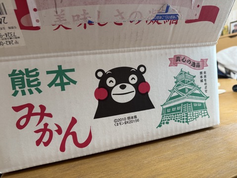 食べたらやみつき！【絶品】　糖度15度以上『興津早生みかん』　5kg