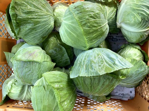 【父の日ギフト】まあるくはじけるポップコーン付き☆信州四賀より里山の旬野菜セット【mini　6品目】