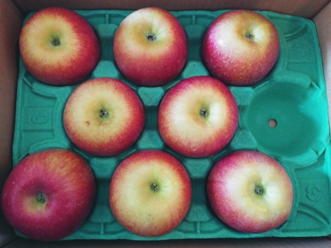 【甘いりんご解禁です🍎】 シナノスイート 3キロ箱 6玉〜15玉サイズ ID42539  甘い 長野県 信州 安曇野 リンゴ 幻 幻のリンゴ 予約 希少 旬