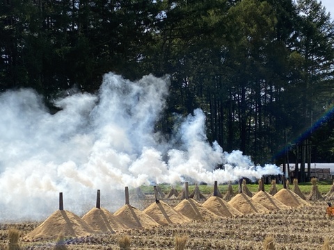 令和7年度産うるち米（コシヒカリ）【玄米粉】グルテンフリー！我が家で育てた農薬・化学肥料不使用玄米の玄米粉 1kg
