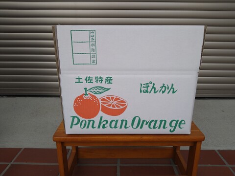【贈答用】土佐の温暖な気候で、うま味がギュッ！！と詰まったぽんかん（２Ｌサイズ　5キロ）
