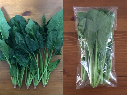 ほうれん草（200g x 3袋）+ 小松菜（250g x 2袋）　＜農薬・化学肥料不使用＞