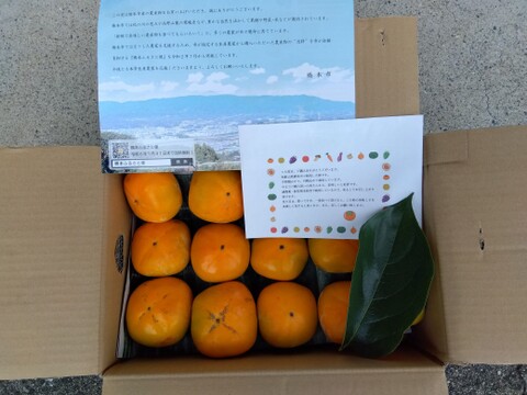 常温便　和歌山県橋本市産　ご家庭用たねなし柿（約5キロ箱込み）