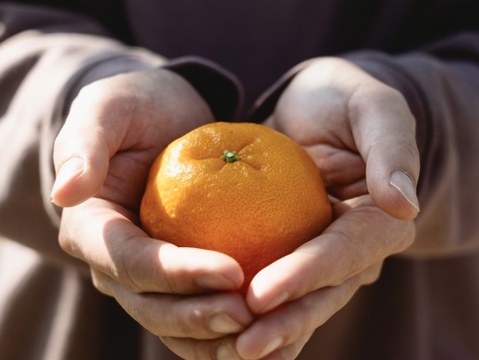 【希少・プチプチ食感】はるみ 2.5kg 春の極上柑橘