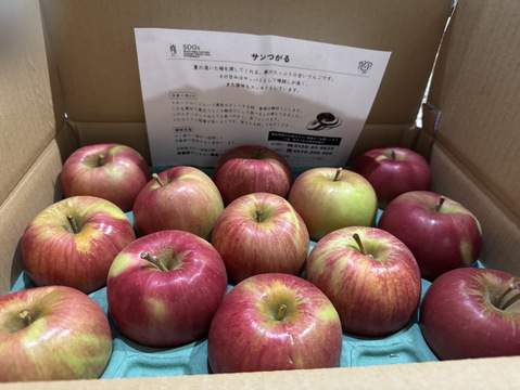 サンつがる 3キロ箱 6玉〜15玉サイズ商品ID44867 長野県 信州 安曇野 リンゴ 幻 幻のリンゴ 予約 希少 旬