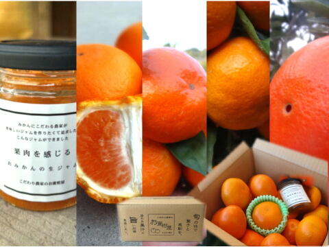 【ゲン担ぎ福袋】甘～い完熟みかんや希少柑橘の食べ比べにおみかんの生ジャム！数量限定！一年の最後は皆で笑ってニコニコ（2525）♪「旬のこだわり柑橘食べ比べ福袋」訳あり品　約2kg入【商品番号1103】