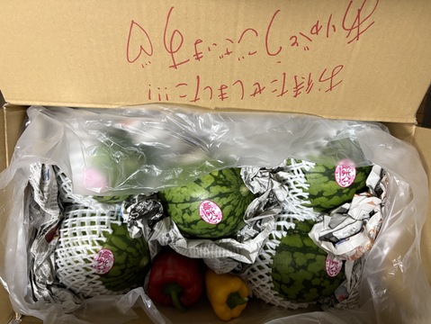甘さ抜群！シャリシャリ小玉すいか🍉9～10ｋｇ（4玉～6玉）本州の方限定