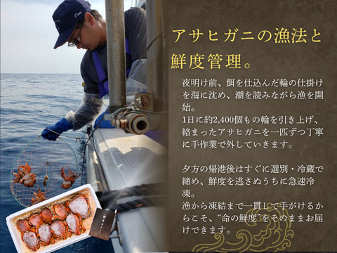 【特大サイズ】アサヒガニ　1kg ｜迫力満点＆濃厚味噌！宮崎直送