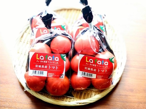 濃い恋トマト【季節限定】　約1,600g (16～20ヶ位)
