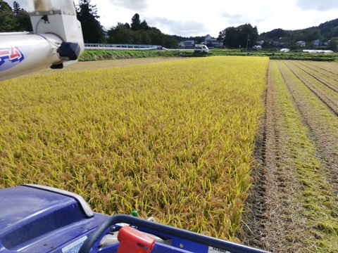 令和7年産　白米5㎏　　　新米予約　品種「つきあかり」