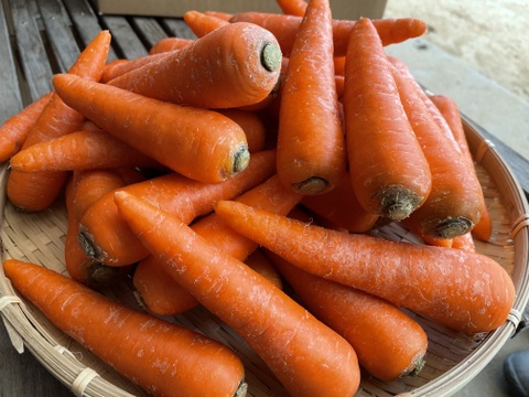 【年末感謝SALE】訳あり人参と訳ありミニ大根セット