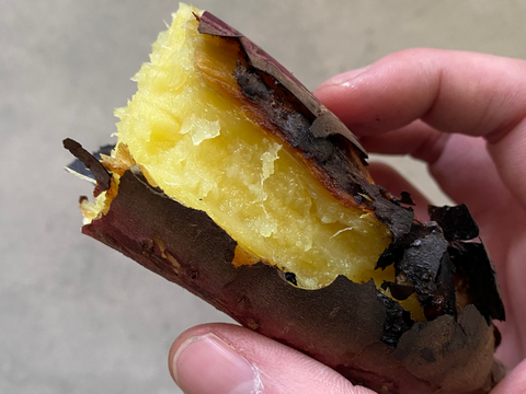 有機JAS認証 B品 訳あり さつまいも 追熟完了 紅はるか 青森県 2.5キロ