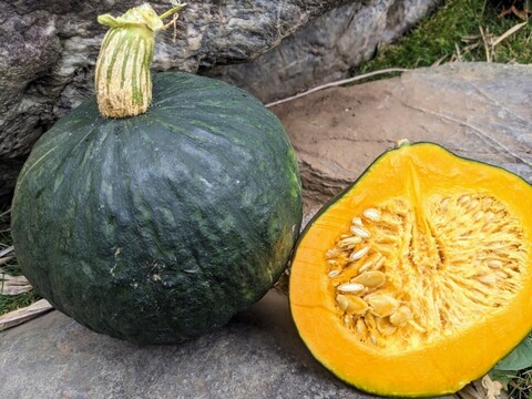 🎊TBS大泉サンド出演記念キャンペーン🎊多くの声により遂に解禁！寛永鶴見ブランドオールスター野菜BOXお得な詰め合わせセット！高級志向のあなたへ贈る特別な野菜ボックスお試し約1kg