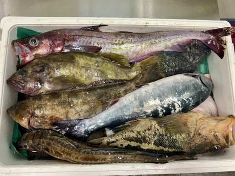 竹コース【年明け発送】船頭にお任せ！鮮魚ボックス（詰め合わせ) 海鮮セット