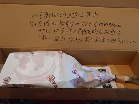 1/18放送林先生の初耳学に登場！！【簡易包装】■ゼルミラ５本束■山口智子さんをイメージするお花としてスタジオにゼルミラ畑が❤神秘的なお色に加えて香りも甘くてうっとりです！！