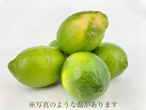 【有機JAS認証！】レモン島からお届け♪皮まで♪オーガニックレモン8kg