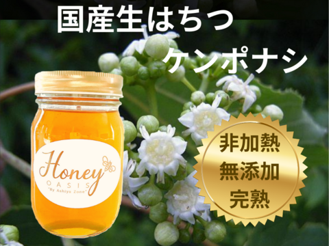 非加熱・無添加】こだわりの国産はちみつ ケンポナシ 500g 健康