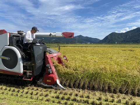 農家自慢の白米　新潟県産コシヒカリ5kg