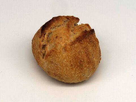 全部有機！パンセット⑮：麦の栽培から一貫生産　自然栽培有機小麦のみ使用した小さな有機フランスパンセット