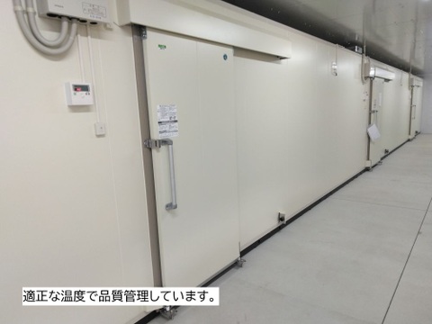 1.5kg⭐️訳あり⭐️熟成ベニアズマ⭐️《超特価！》