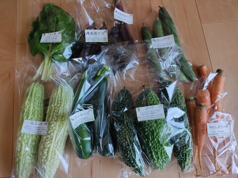 旬のお野菜セット（5～7品）クール便