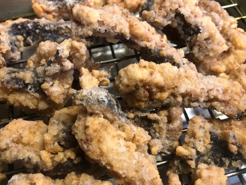 本日の1点物！ウツボ１匹（内臓処理済み品）中サイズ740グラム（冷凍品）