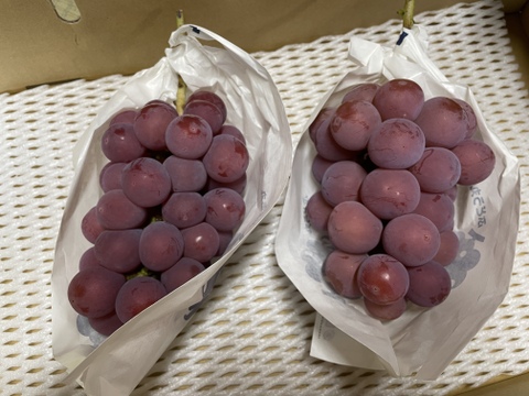 【リピーター続出】赤色ぶどう“クイーンニーナ”（1㎏・約2房）