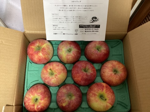 発送中🍎【人気上昇中 幻の夏りんご🍎】シナノリップ3キロ箱 6玉〜15玉サイズ 商品ID41076 長野県 信州 安曇野 リンゴ 幻 幻のリンゴ 予約 希少 旬