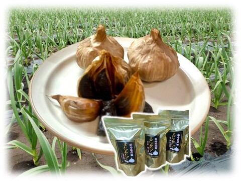 甘い果実食感！『熟成黒にんにく』３００ｇセット（100ｇ×3ｐ）